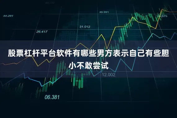 股票杠杆平台软件有哪些男方表示自己有些胆小不敢尝试