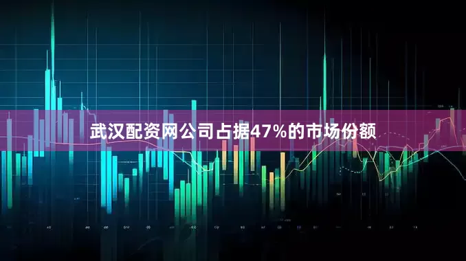 武汉配资网公司占据47%的市场份额