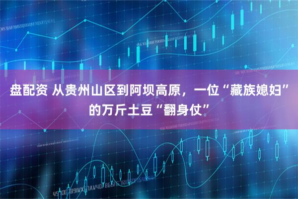 盘配资 从贵州山区到阿坝高原，一位“藏族媳妇”的万斤土豆“翻身仗”