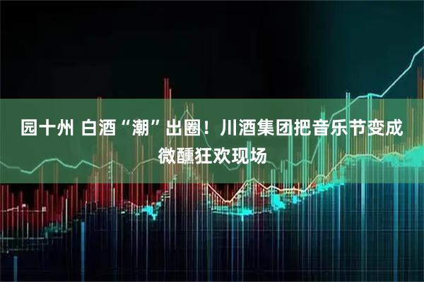 园十州 白酒“潮”出圈！川酒集团把音乐节变成微醺狂欢现场