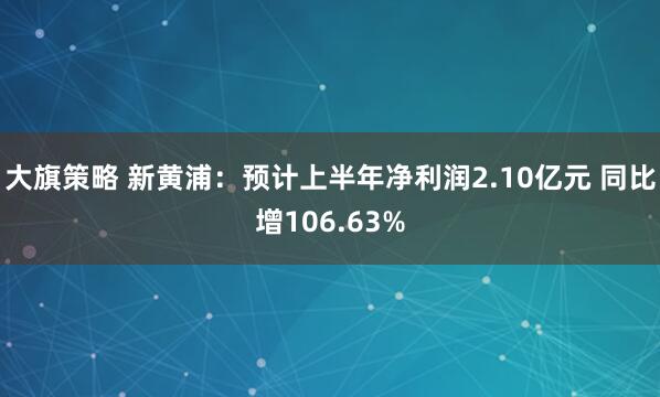 大旗策略 新黄浦：预计上半年净利润2.10亿元 同比增106.63%